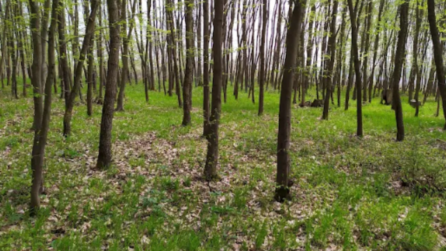 Přírodní park Bobrava