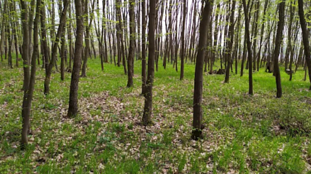 Přírodní park Bobrava